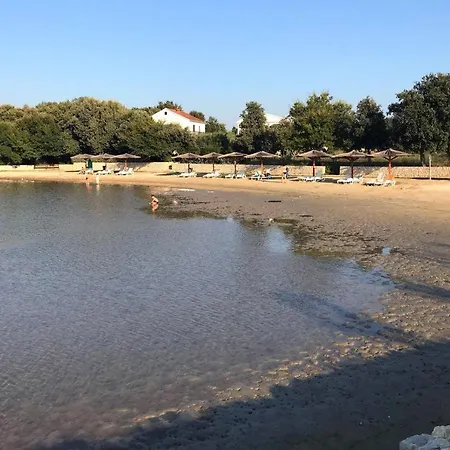 Zaton 11130a * نين